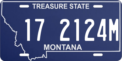 MT license plate 172124M