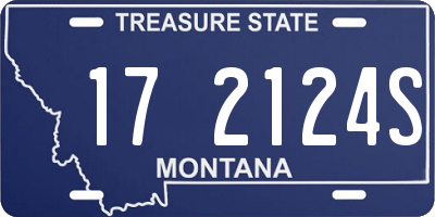 MT license plate 172124S
