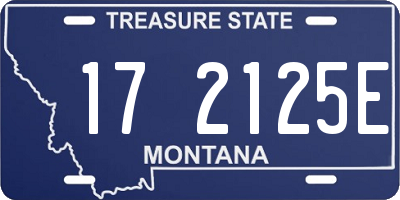 MT license plate 172125E