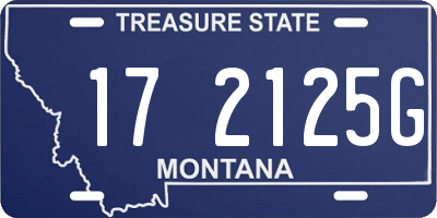 MT license plate 172125G