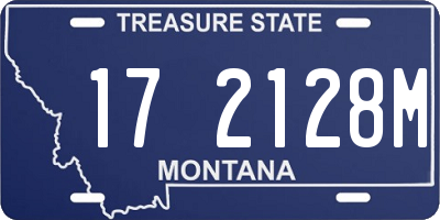 MT license plate 172128M