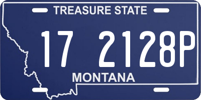 MT license plate 172128P