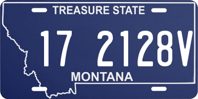 MT license plate 172128V