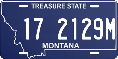 MT license plate 172129M