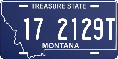 MT license plate 172129T
