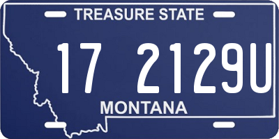 MT license plate 172129U