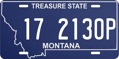 MT license plate 172130P
