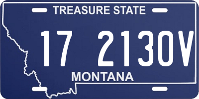 MT license plate 172130V