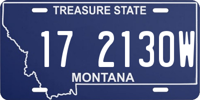 MT license plate 172130W