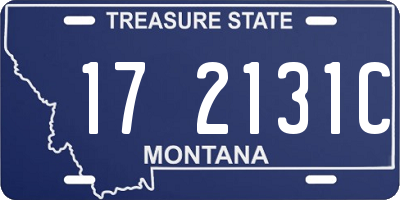MT license plate 172131C