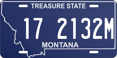MT license plate 172132M