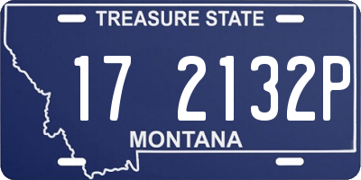 MT license plate 172132P