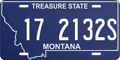 MT license plate 172132S