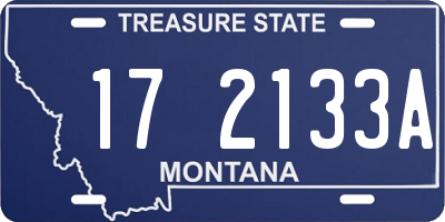 MT license plate 172133A
