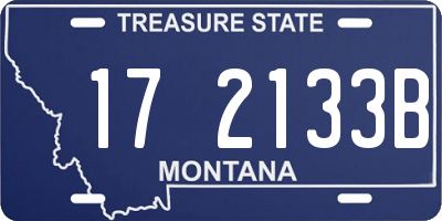 MT license plate 172133B