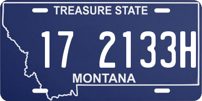 MT license plate 172133H