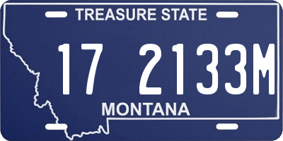 MT license plate 172133M
