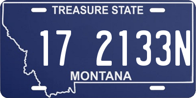 MT license plate 172133N