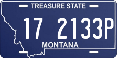 MT license plate 172133P