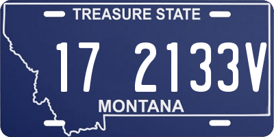 MT license plate 172133V