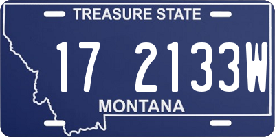 MT license plate 172133W