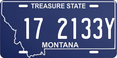 MT license plate 172133Y