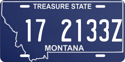 MT license plate 172133Z