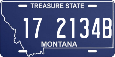 MT license plate 172134B