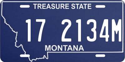 MT license plate 172134M