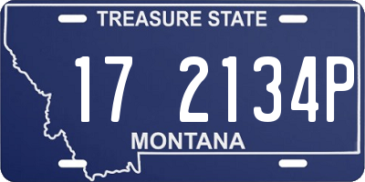 MT license plate 172134P