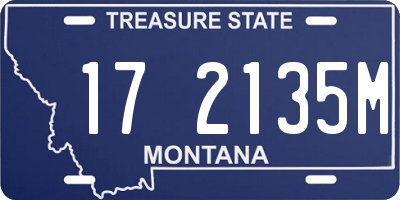 MT license plate 172135M
