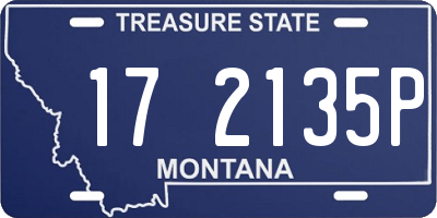 MT license plate 172135P