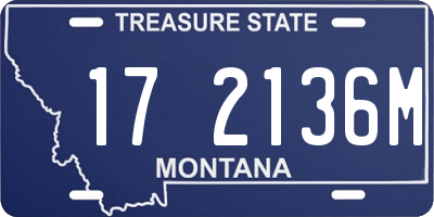 MT license plate 172136M