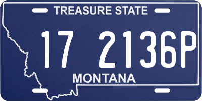 MT license plate 172136P