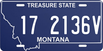 MT license plate 172136V