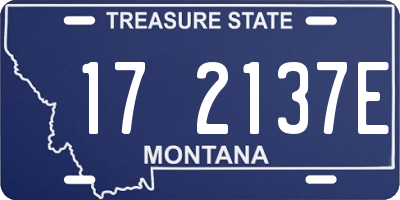 MT license plate 172137E