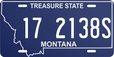 MT license plate 172138S