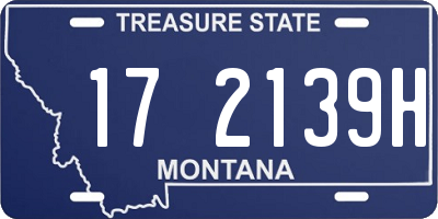 MT license plate 172139H