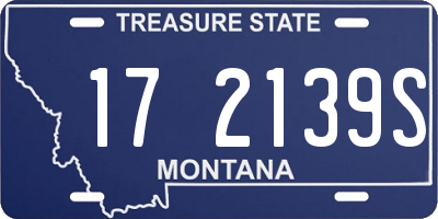 MT license plate 172139S