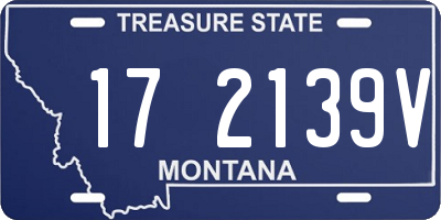 MT license plate 172139V