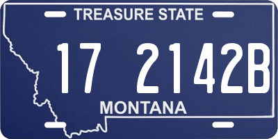 MT license plate 172142B