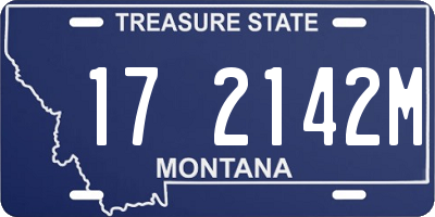 MT license plate 172142M