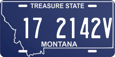 MT license plate 172142V