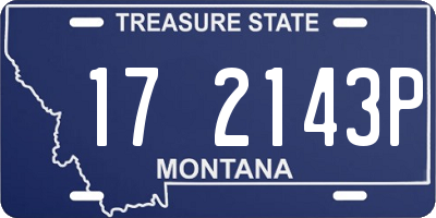 MT license plate 172143P