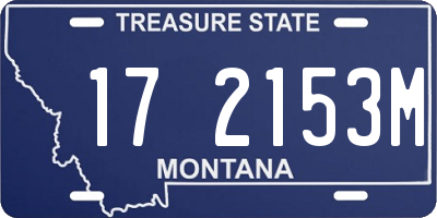 MT license plate 172153M