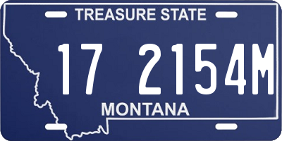 MT license plate 172154M