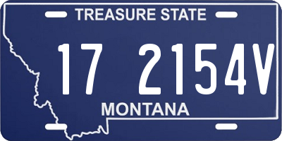 MT license plate 172154V
