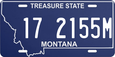 MT license plate 172155M
