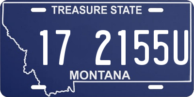 MT license plate 172155U