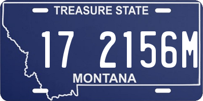 MT license plate 172156M